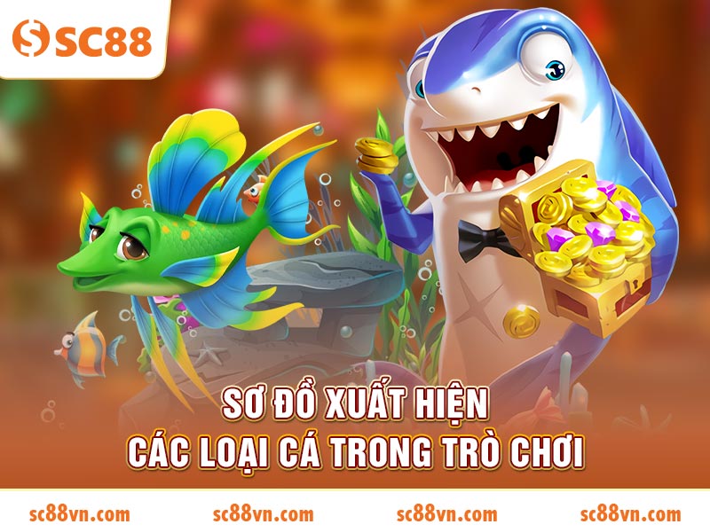 Sơ đồ xuất hiện các loại cá trong trò chơi